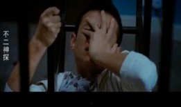 神探在线观看完整篇,揭秘神秘案件，智慧与勇气的较量